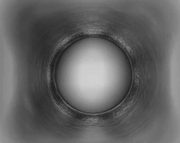 X0000116850631200912291241