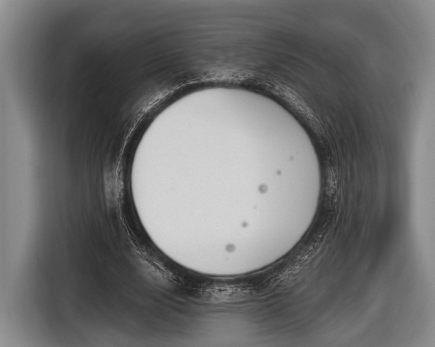 X0000116850632200912291241
