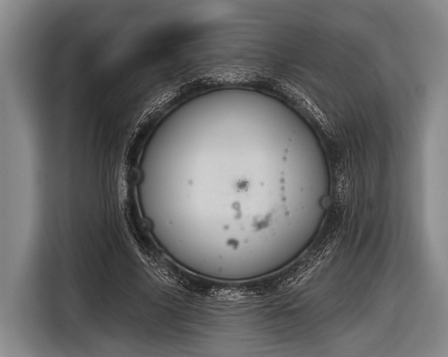 X0000116850635200912291241