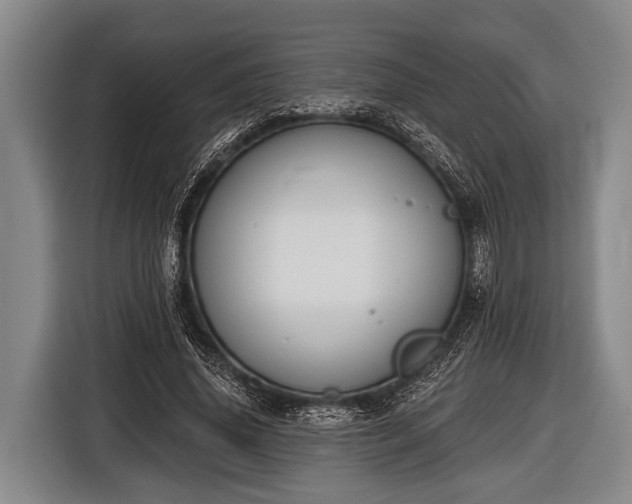 X0000116850636200912291241