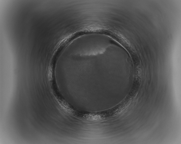 X0000116850640200912291241