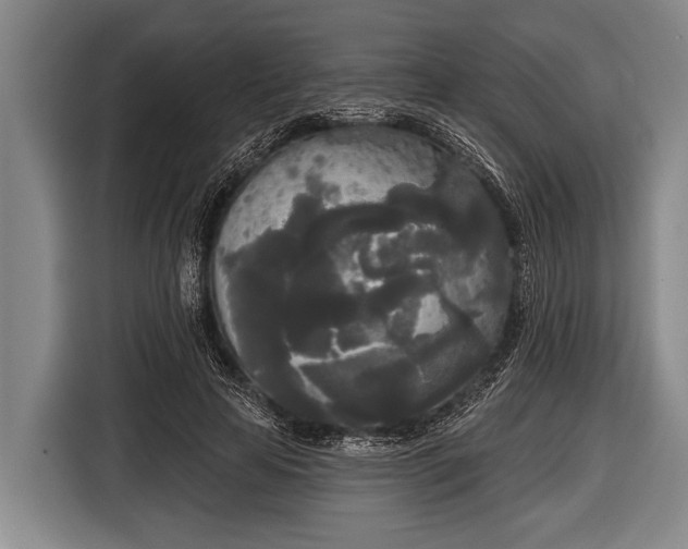 X0000116850641200912291241