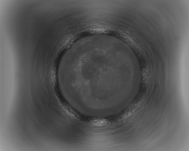 X0000116850642200912291241