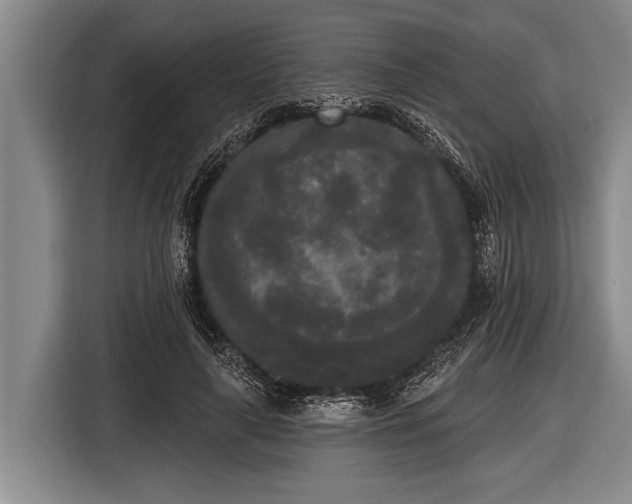 X0000116850643200912291241