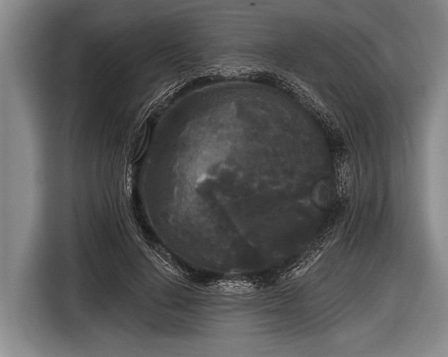 X0000116850644200912291241