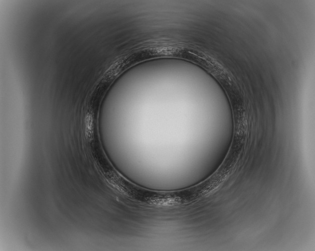 X0000116850646200912291241