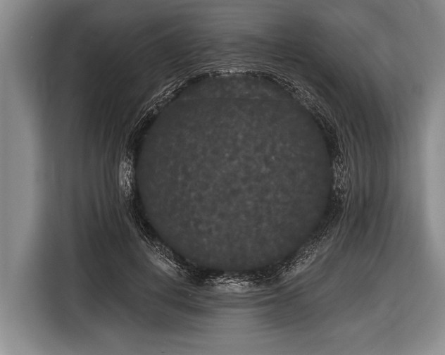 X0000116850648200912291241