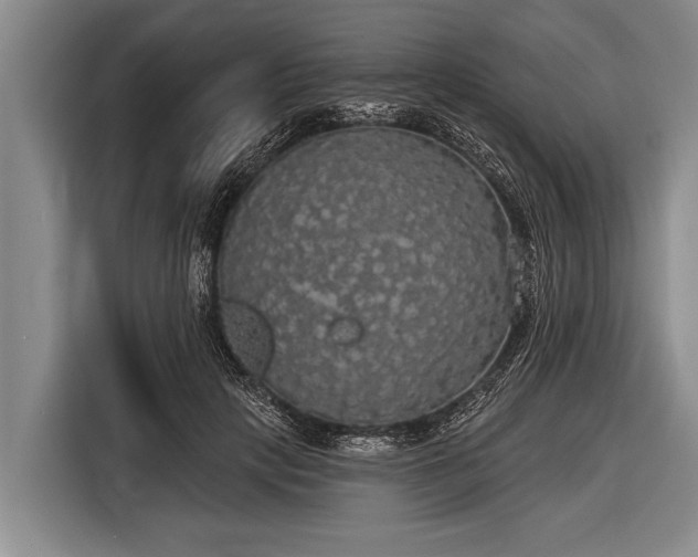 X0000116850649200912291241