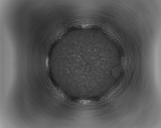 X0000116850650200912291241