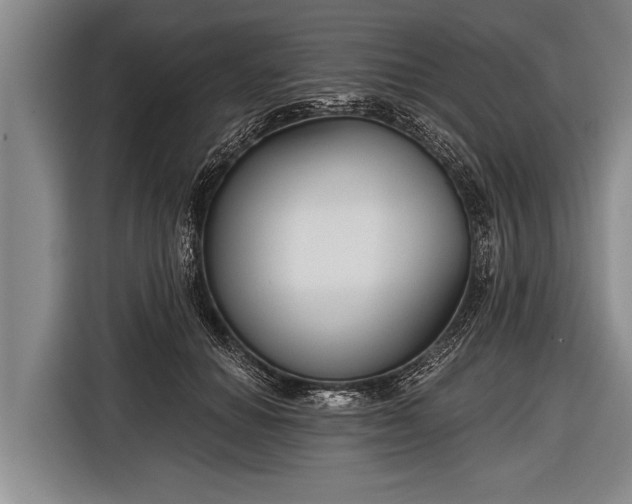 X0000116850654200912291241