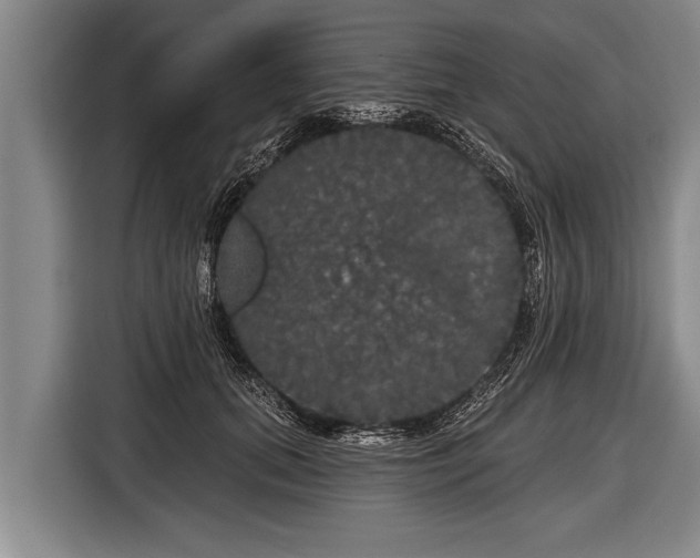 X0000116850655200912291241