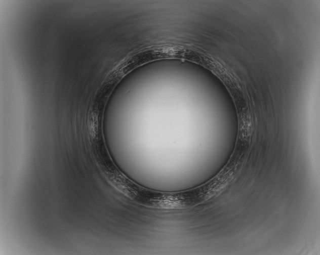 X0000116850656200912291241