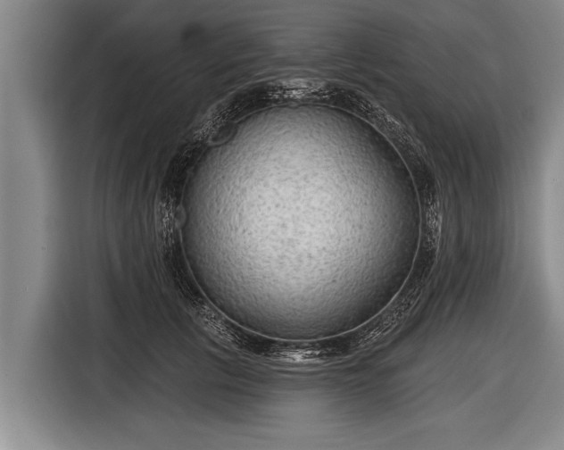 X0000116850657200912291241