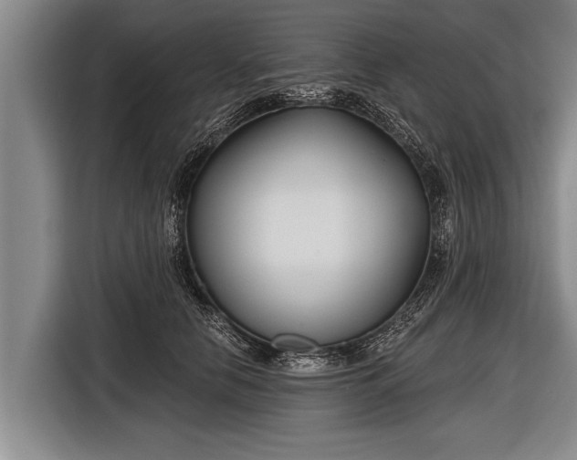 X0000116850658200912291241