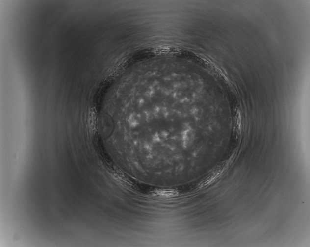 X0000116850659200912291241