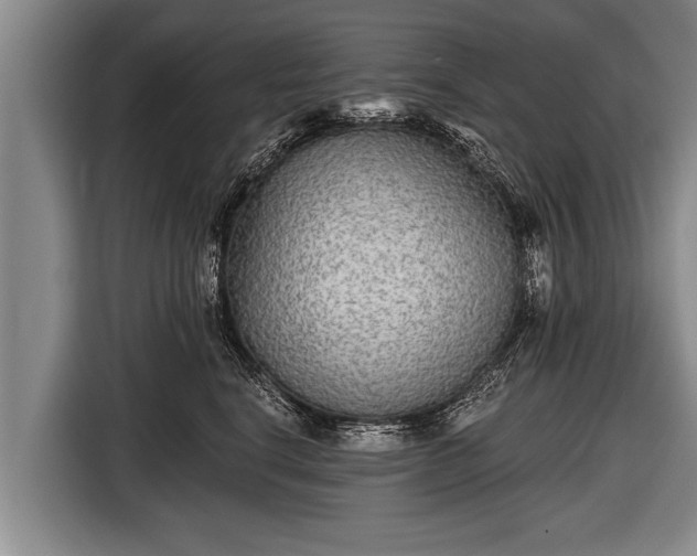 X0000116850664200912291241
