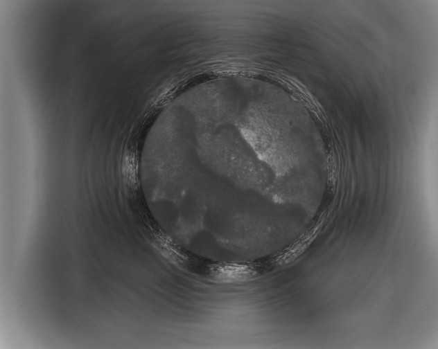 X0000116850669200912291241
