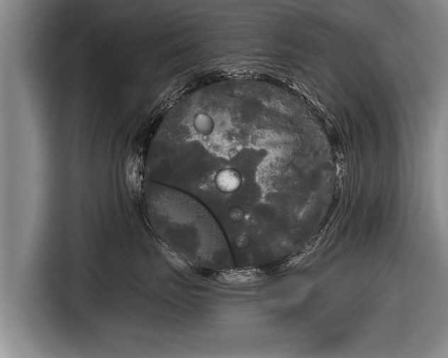 X0000116850671200912291241