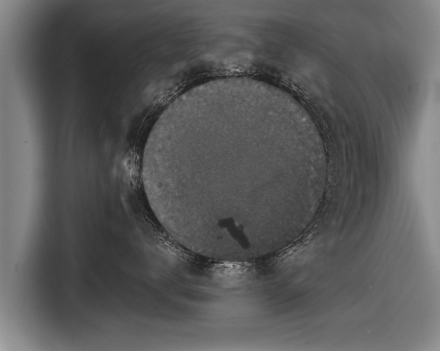 X0000116850672200912291241