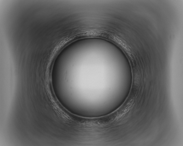 X0000116850673200912291240