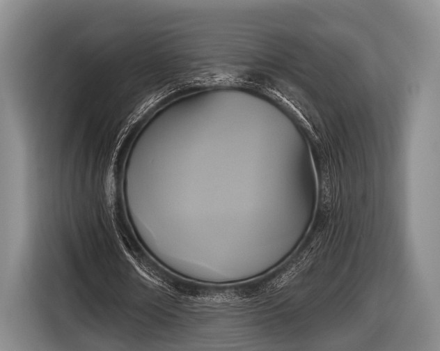 X0000116850674200912291240