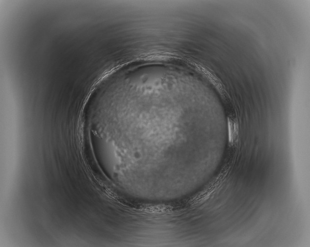 X0000116850675200912291240