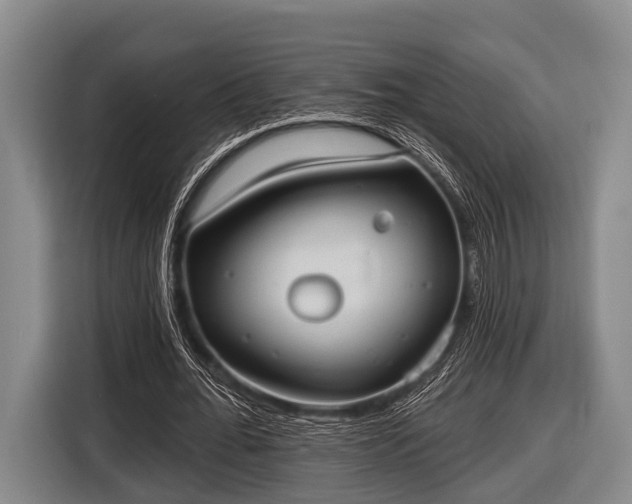 X0000116850676200912291240