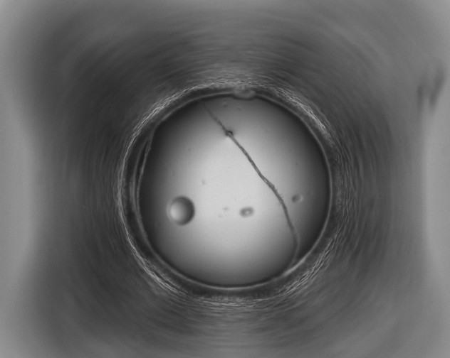 X0000116850677200912291240