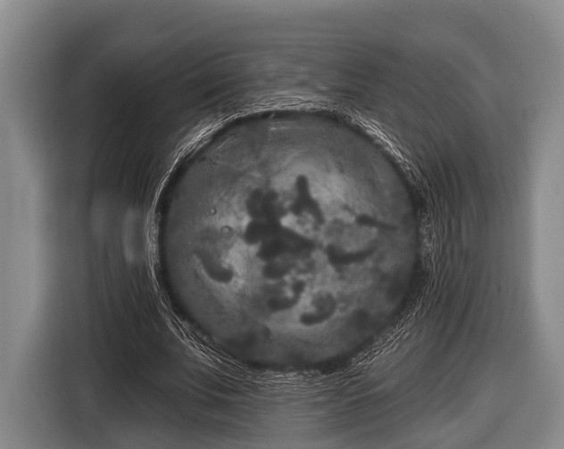 X0000116850679200912291240