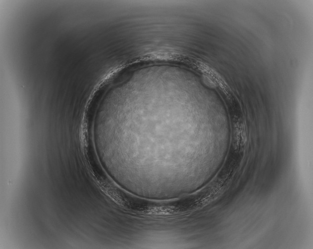 X0000116850680200912291240