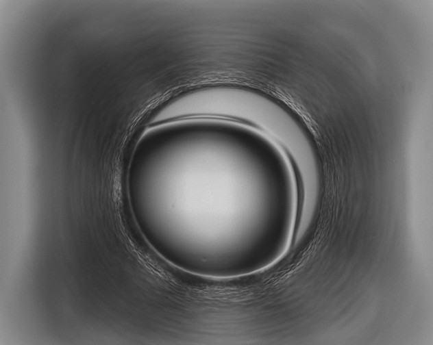 X0000116850681200912291240