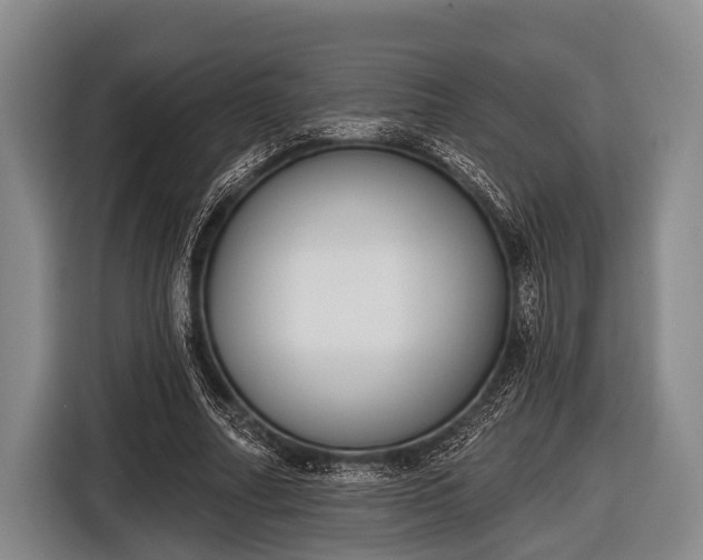 X0000116850682200912291240