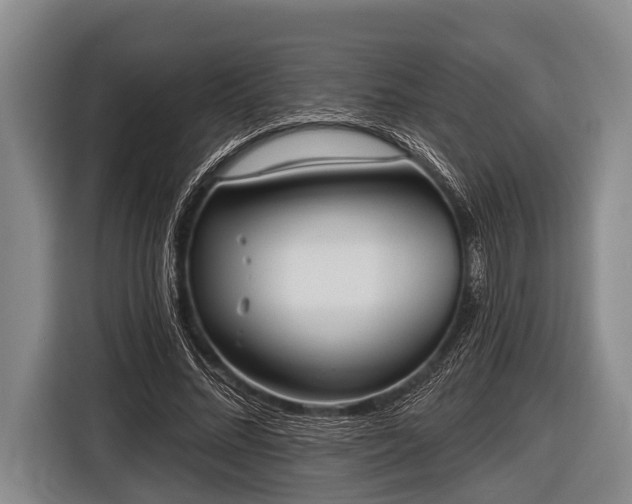 X0000116850684200912291240
