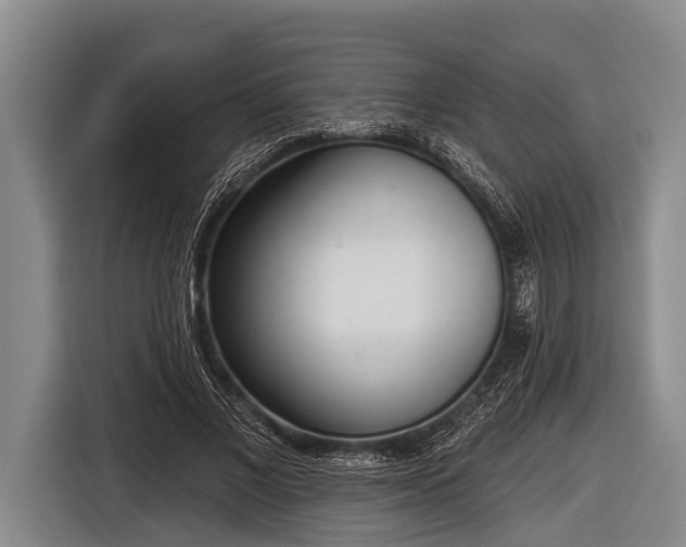 X0000116850685200912291240