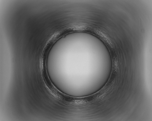 X0000116850686200912291240
