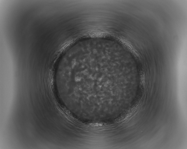 X0000116850687200912291240