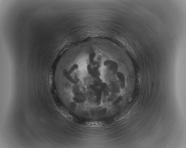 X0000116850691200912291240