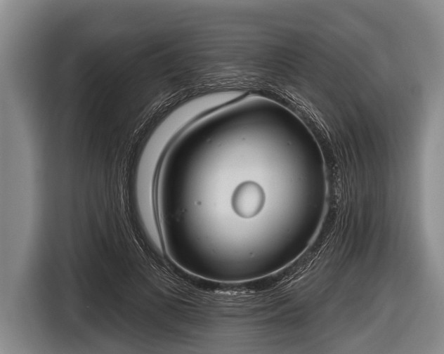 X0000116850693200912291240