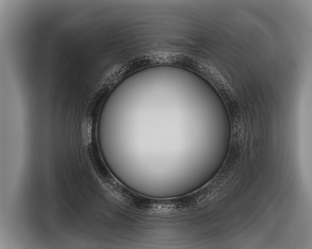 X0000116850694200912291240