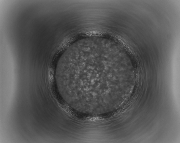 X0000116850695200912291240