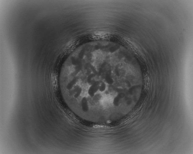 X0000116850699200912291240