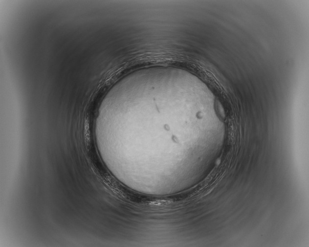 X0000116850700200912291240