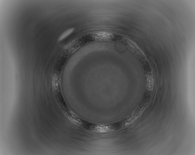 X0000116850701200912291240