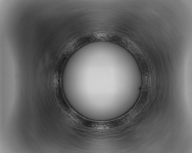 X0000116850702200912291240