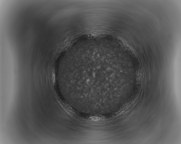 X0000116850703200912291240