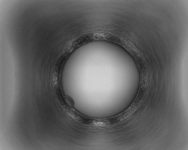 X0000116850706200912291240