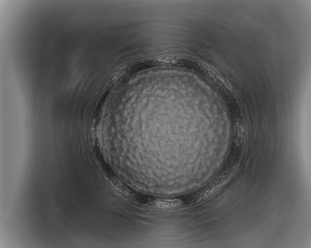 X0000116850707200912291240