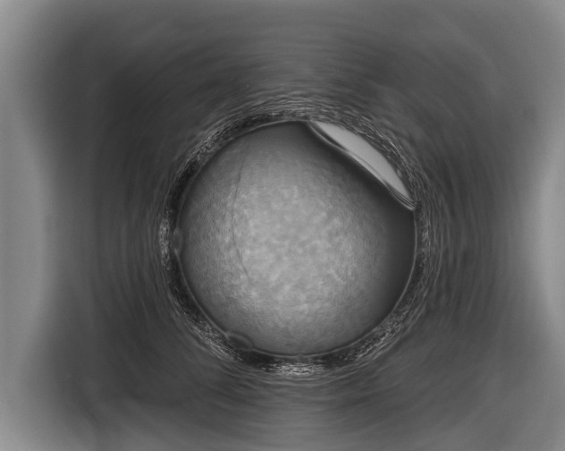 X0000116850708200912291240
