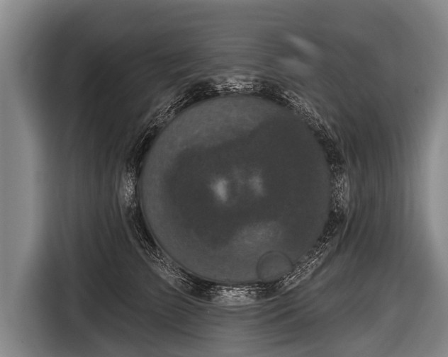 X0000116850709200912291240