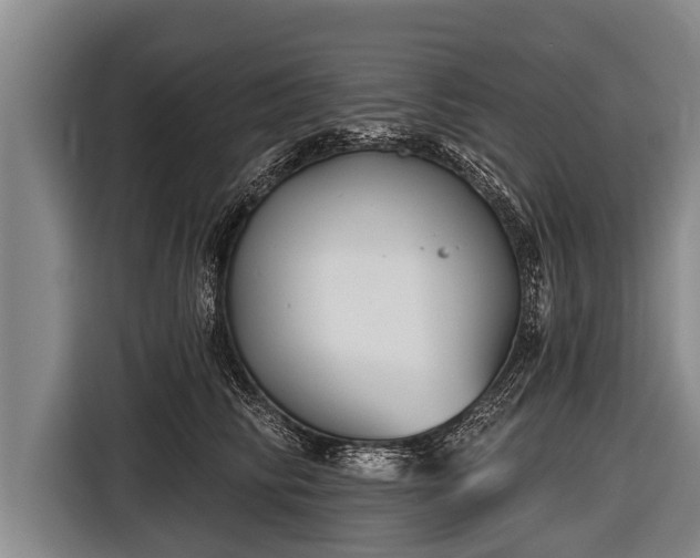 X0000116850710200912291240